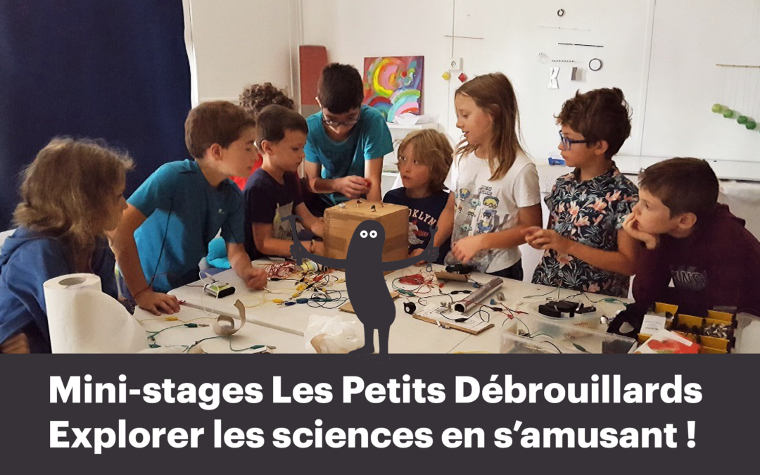 Stages scientifiques de Juillet à Narbonne et à Carcassonne
